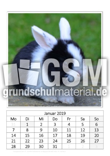 Januar_Kaninchen_3.pdf